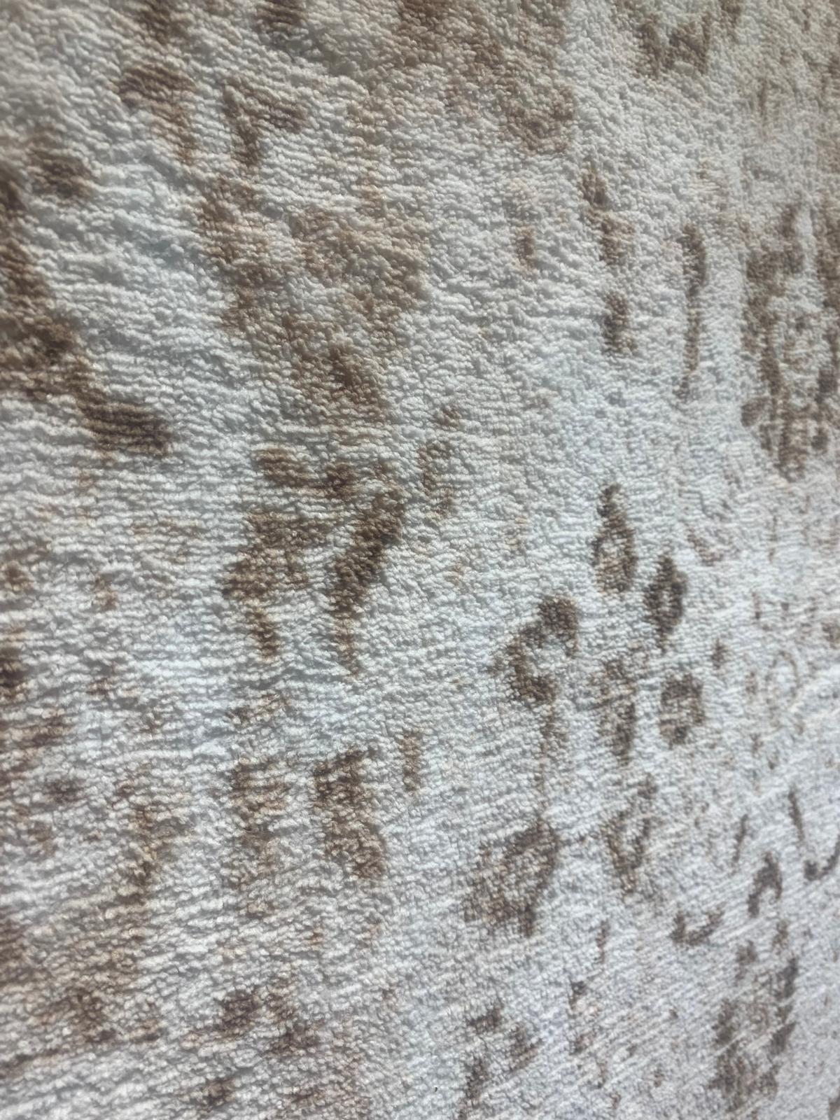 Tapis Elis premium 6607 70 beige